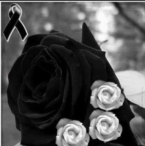 Meet your Posher, Yaneth